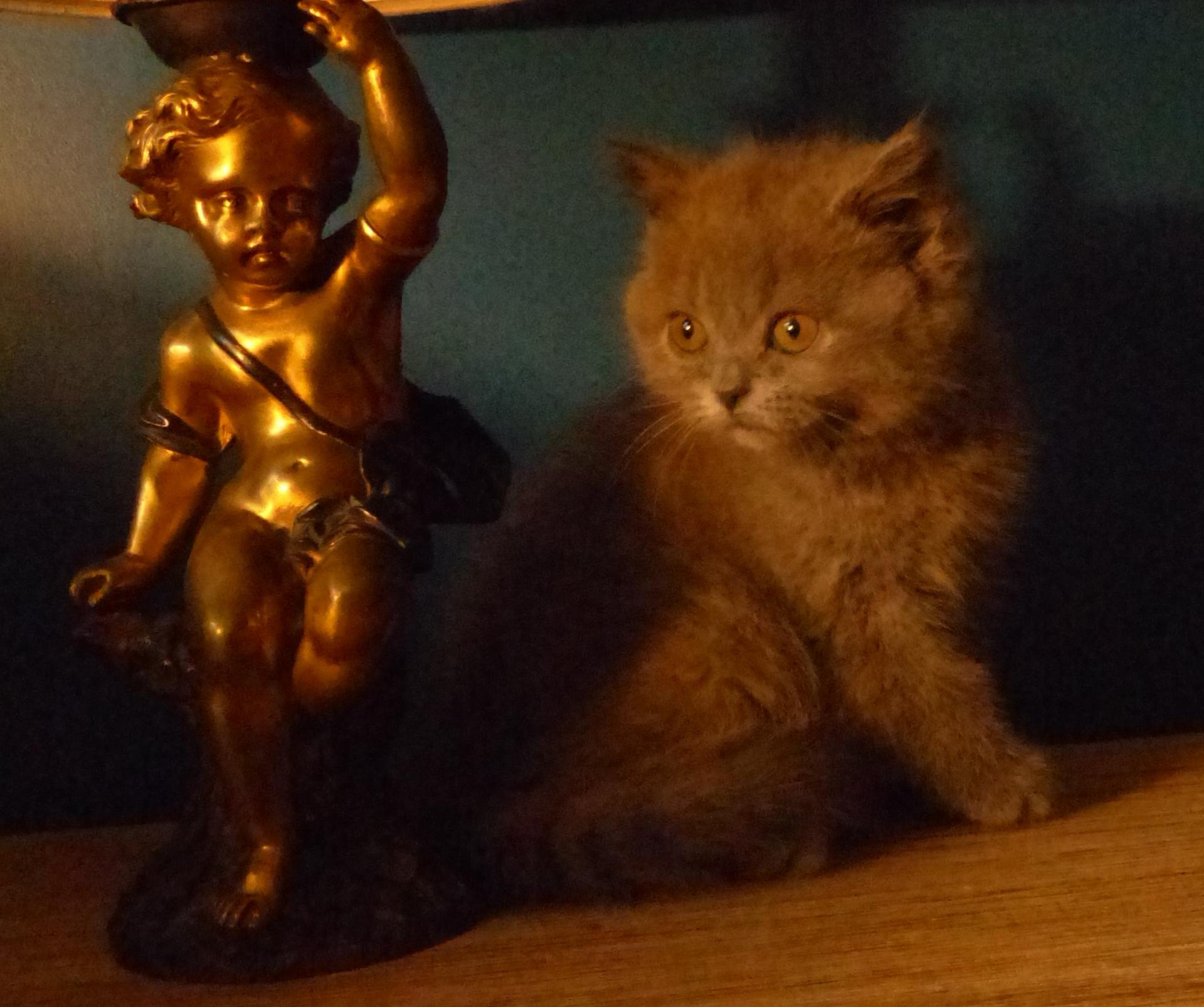 Sirius