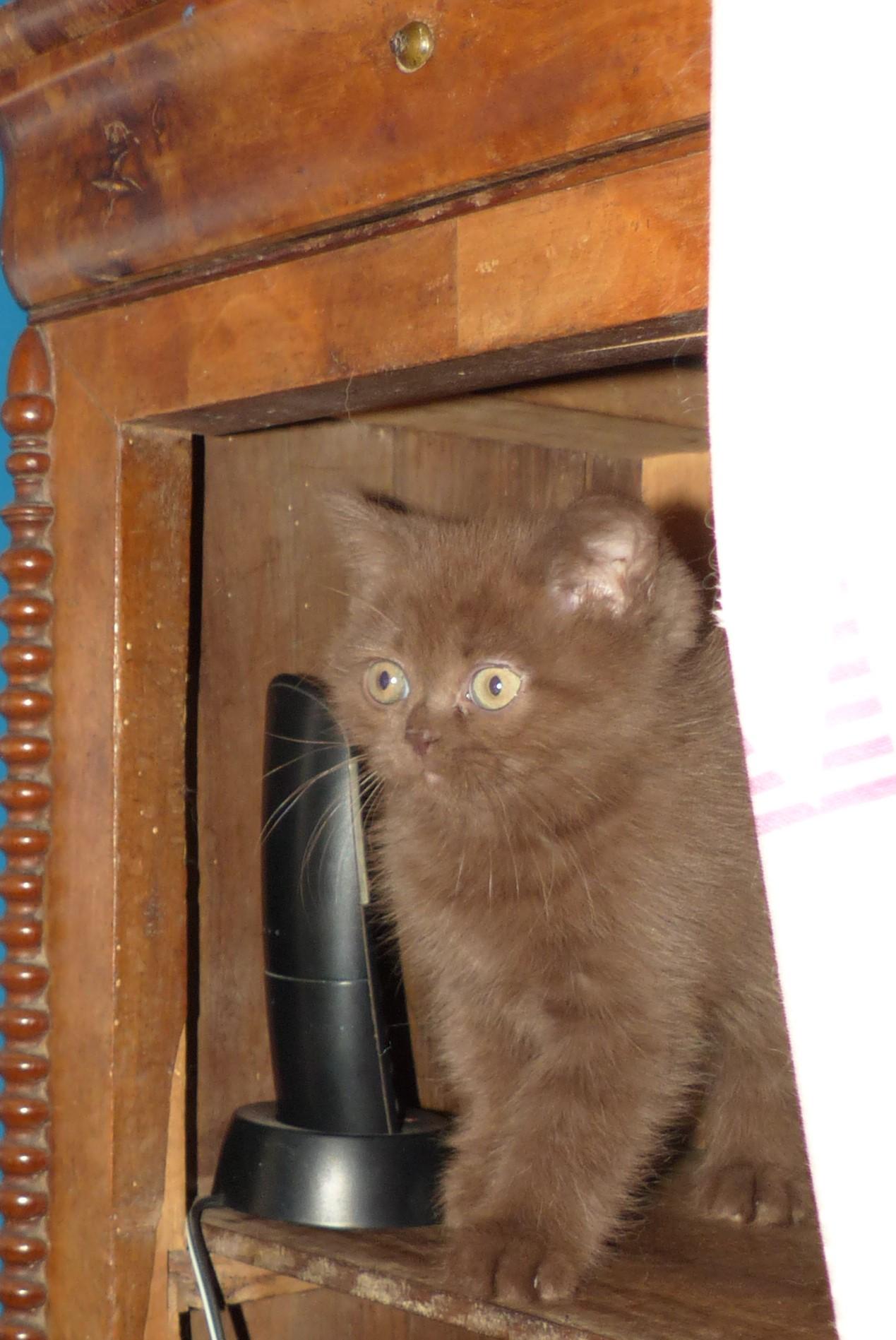 Socrate
