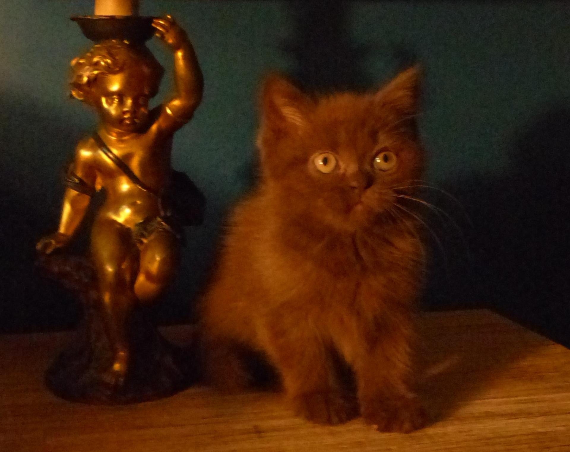 Socrate